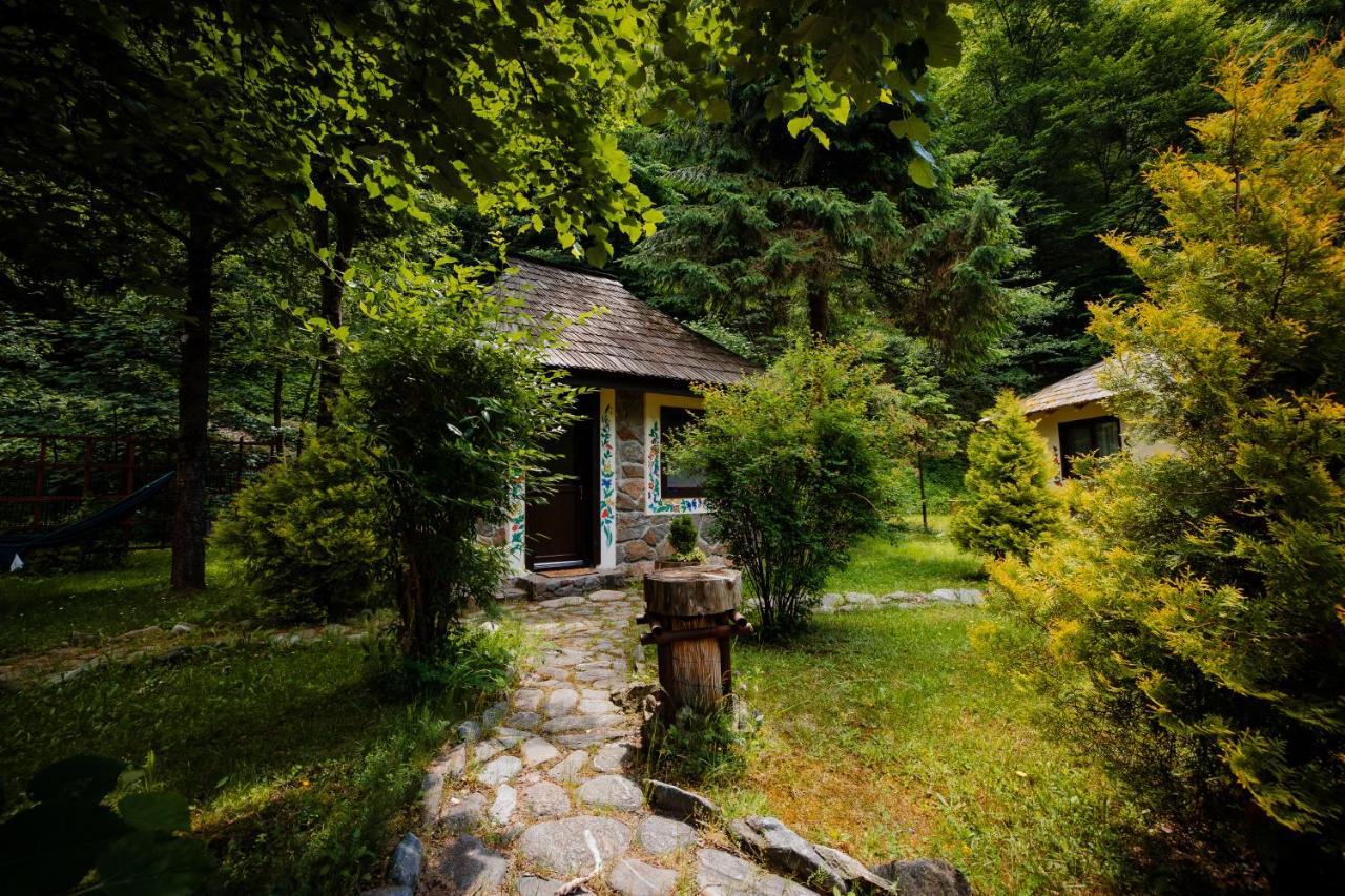 Fratii Jderi - Utopia Verde Brezoi Buitenkant foto