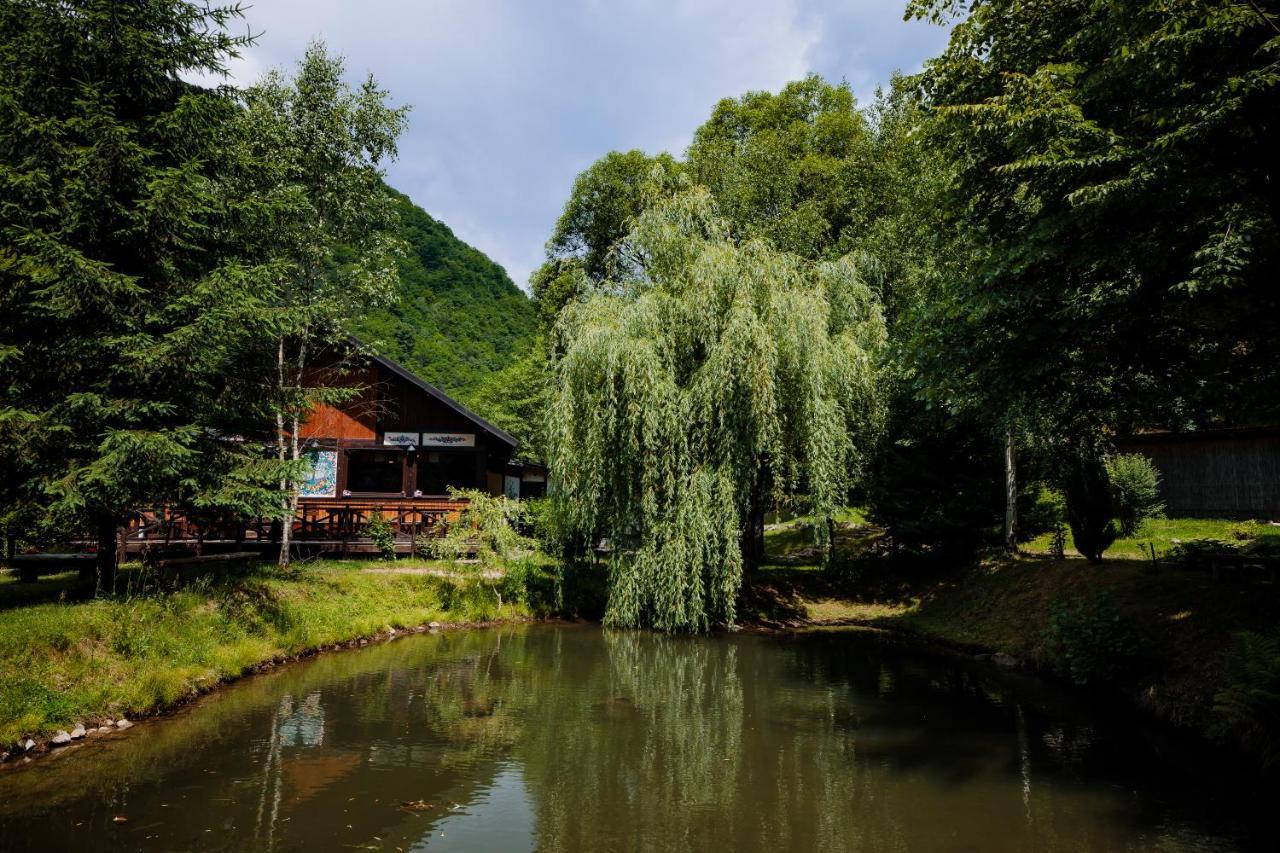 Fratii Jderi - Utopia Verde Brezoi Buitenkant foto